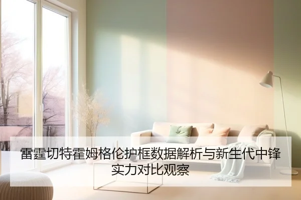 雷霆切特霍姆格伦护框数据解析与新生代中锋实力对比观察